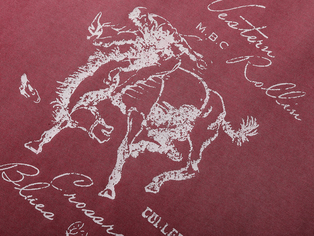 Western Series Sun-Faded Washed Racing T-shirt