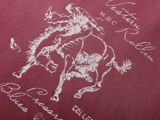 Western Series Sun-Faded Washed Racing T-shirt