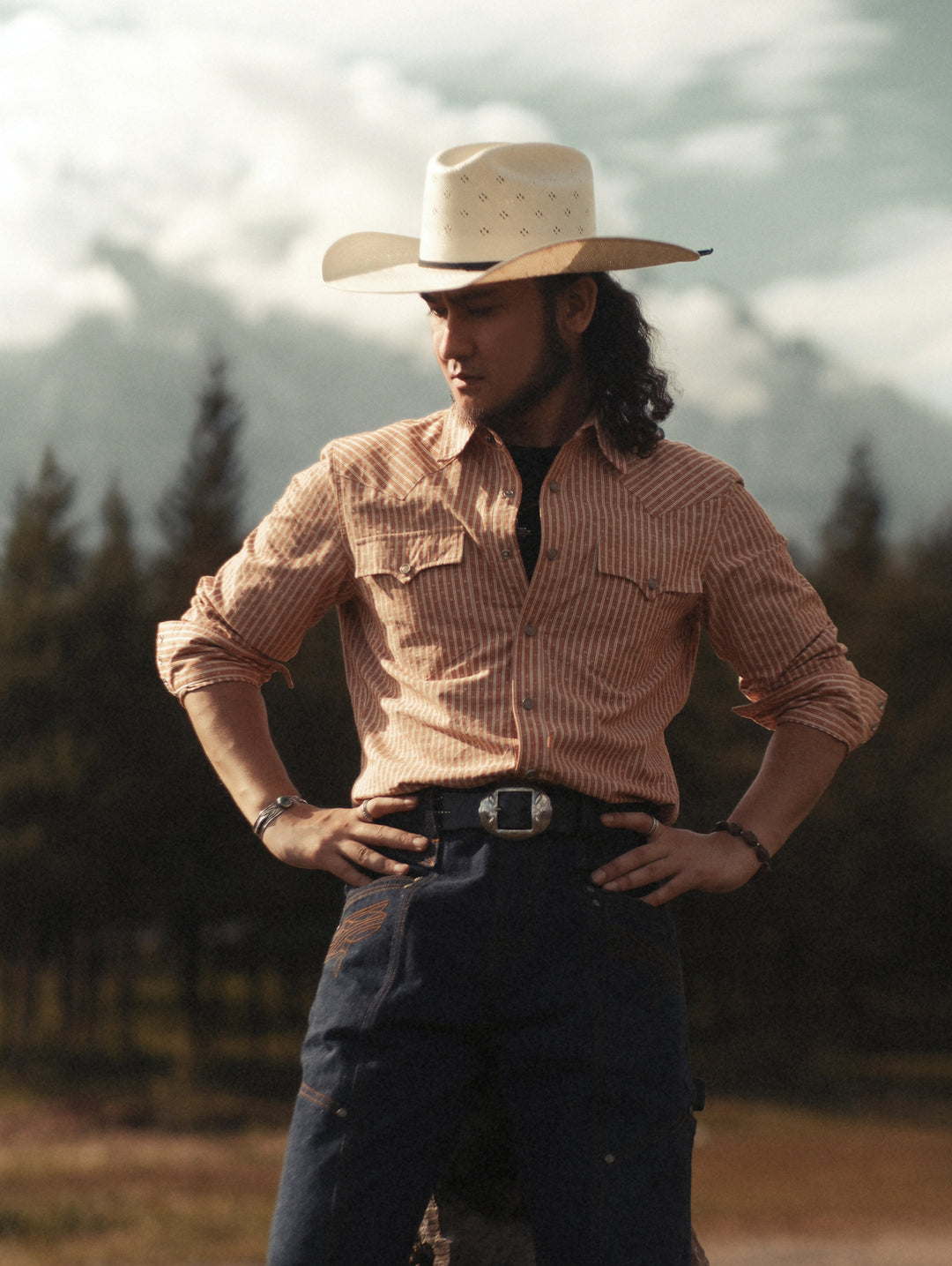 Western Series Yarn-dyed Striped Jacquard shirt